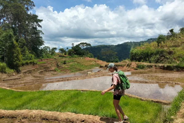 things to do in ruteng