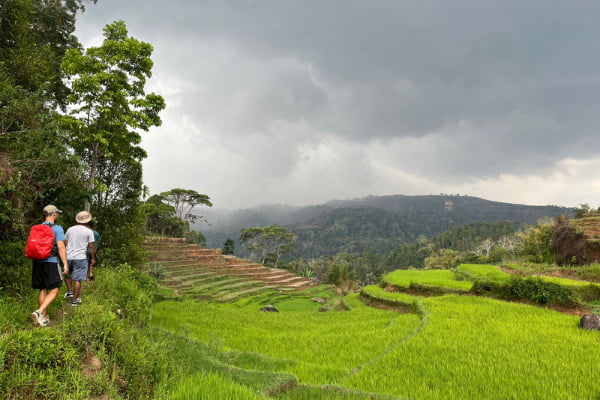 Flores Road Trip Home