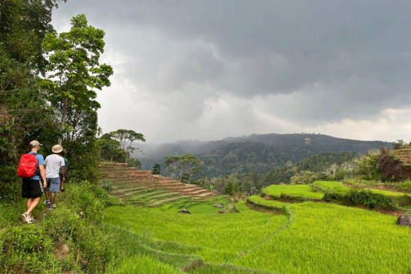 Things to do in ruteng