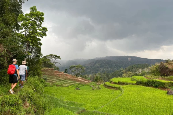 Things to do in ruteng