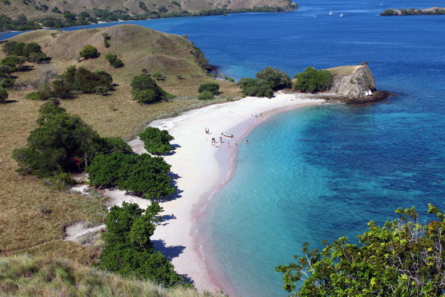 Komodo Tour 3 Days 2 Nights
