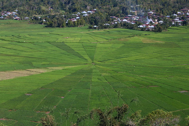 Flores Highlights Tour 5 Days 4 Nights