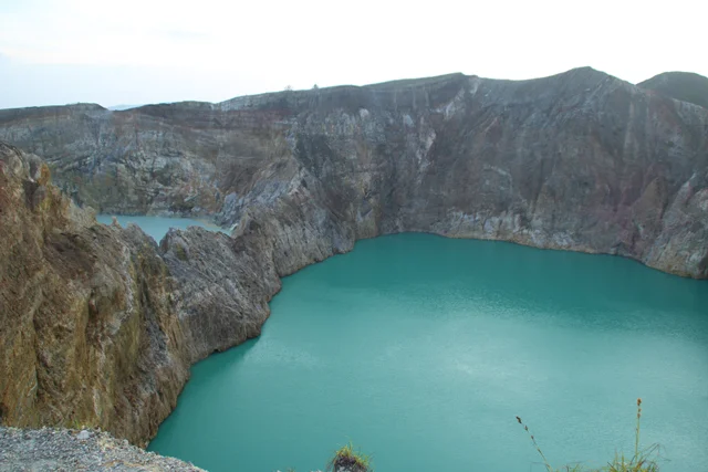 Flores Authentic TOur