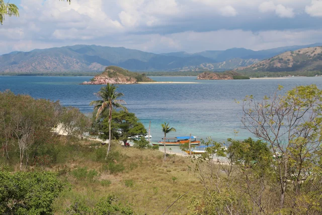 Flores Authentic TOur