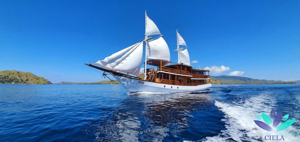 Komodo Boat Tour in Flores Island Indonesia