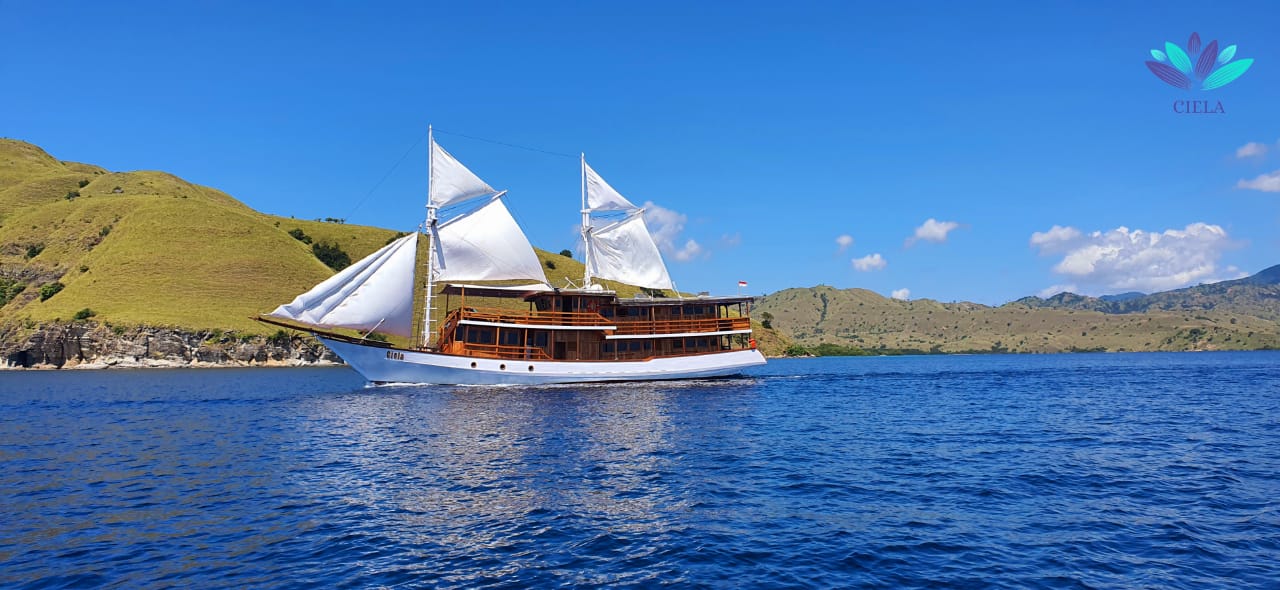 Superior Boat for Komodo Boat Tour