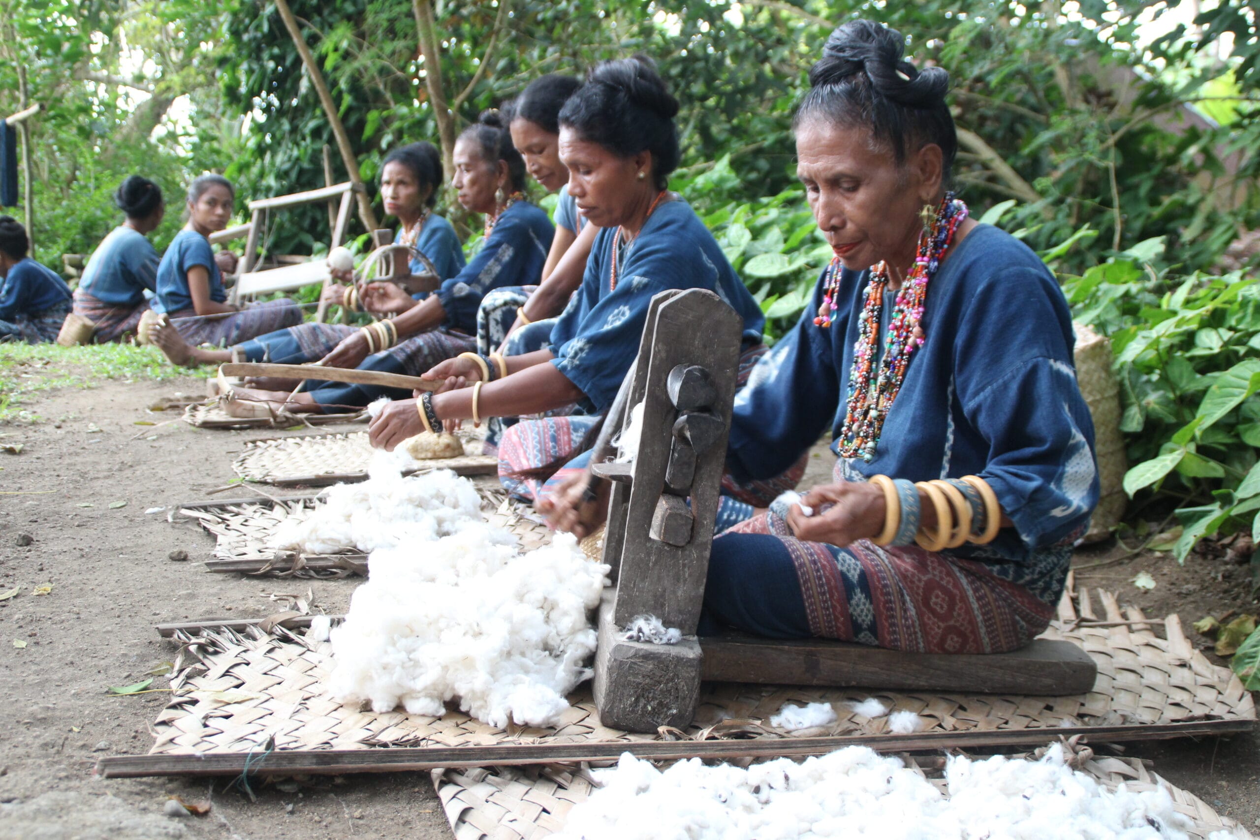 Flores Komodo Tour Package in Indonesia