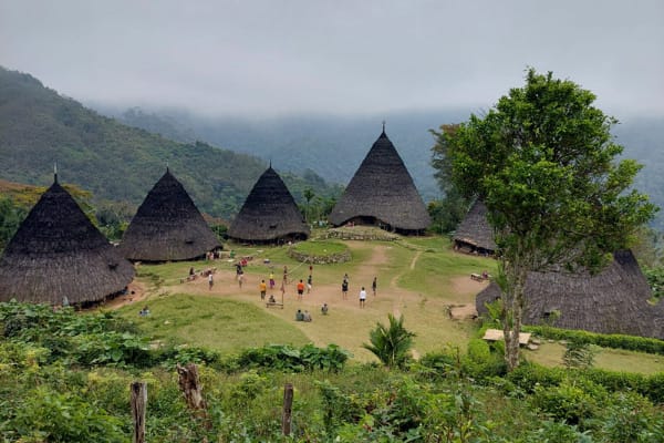Flores Komodo Tour Package in Indonesia