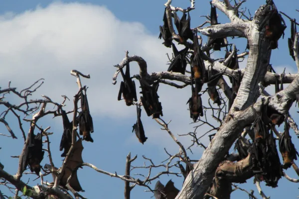 Flores Roundtrip 7 days 6 nights in Indonesia