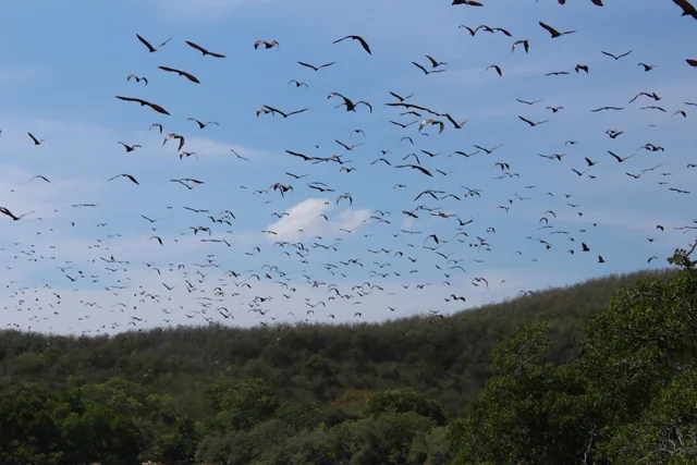 Flores roundtrip 7 days 6 nights from Labuan Bajo