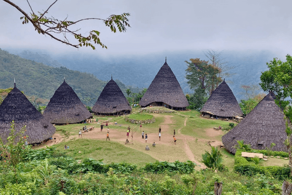 Privat tour packages to flores island in indonesia