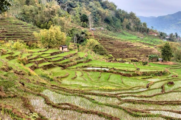 Flores exotic tour from ende in Indonesia
