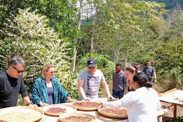 Flores exotic tour from ende in Indonesia