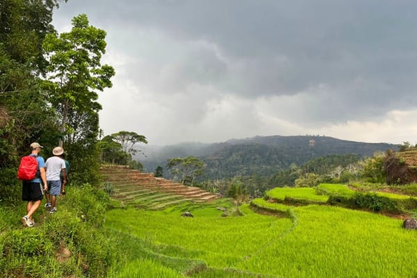 Flores exotic tour from ende in Indonesia