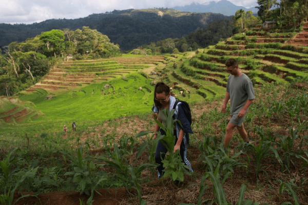 Flores Snorkeling & Sighseeing tour 5 days in indonesia