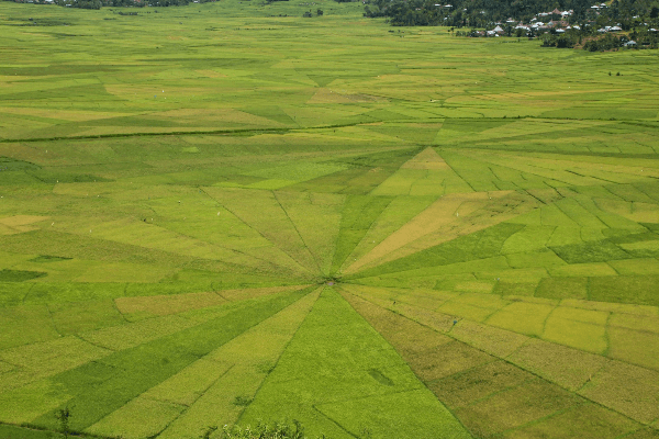 Flores Snorkeling & Sighseeing tour 5 days in indonesia