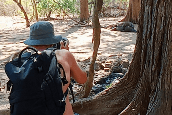 Komodo Shore excursion for cruiseship pessanger