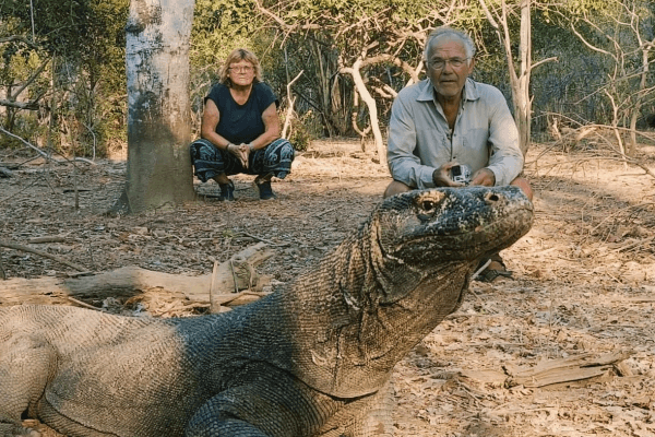 Komodo Shore excursion for cruiseship pessanger