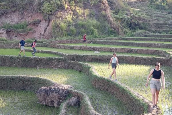 4 days 3 nights flores island roudtrip to bajawa indonesia