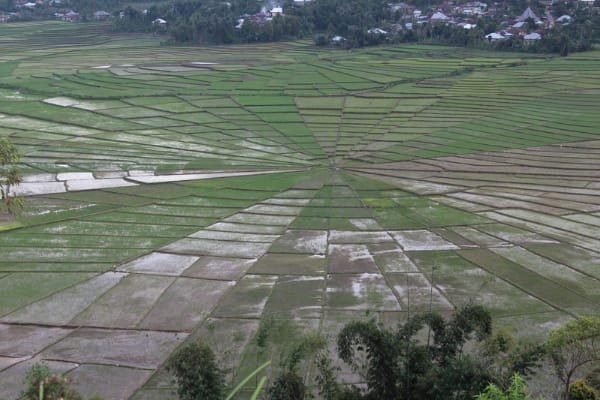 4 days 3 nights flores island roudtrip to bajawa indonesia