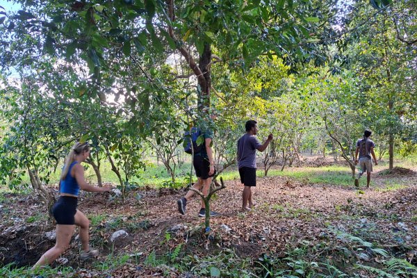 4 days 3 nights flores island roudtrip to bajawa indonesia
